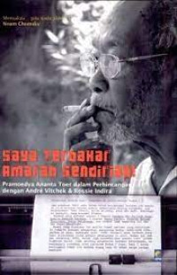 Image of SAYA TERBAKAR AMARAH SENDIRIAN