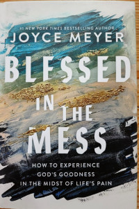 Image of Blessed In The Mess